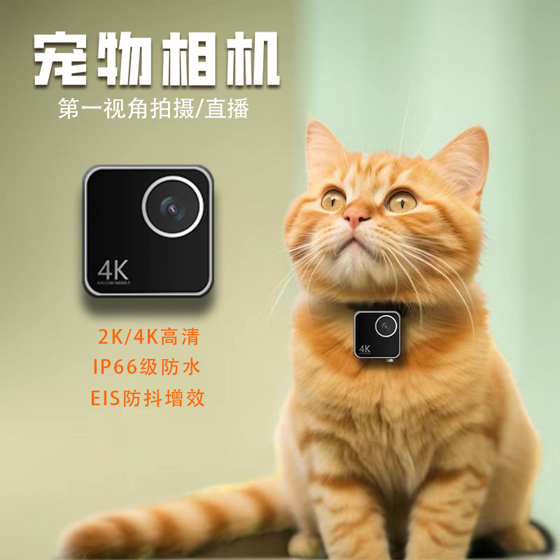 Animal cat dog pet camera firs - đánh giá và giá Cameras